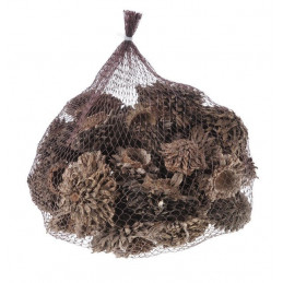 Acorn cone 500gr..5-7cm - susz dekoracyjny