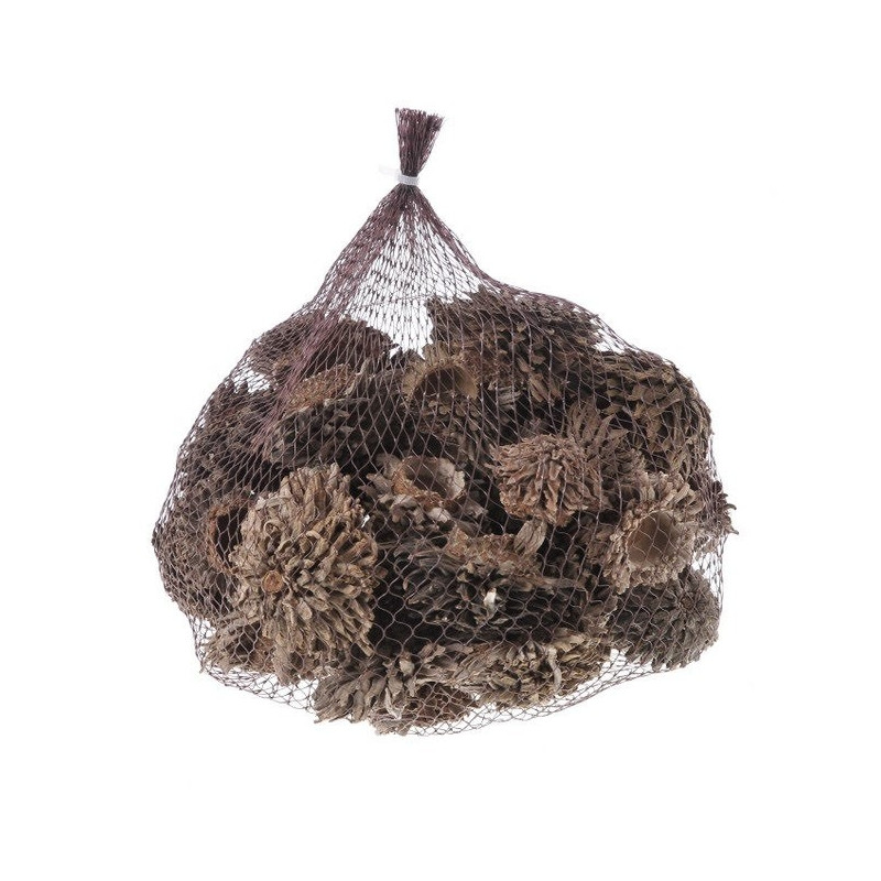 Acorn cone 500gr..5-7cm - susz dekoracyjny