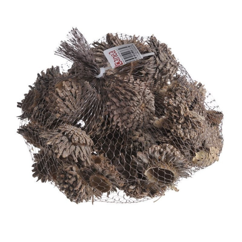 Acorn cone 500gr..5-7cm - susz dekoracyjny