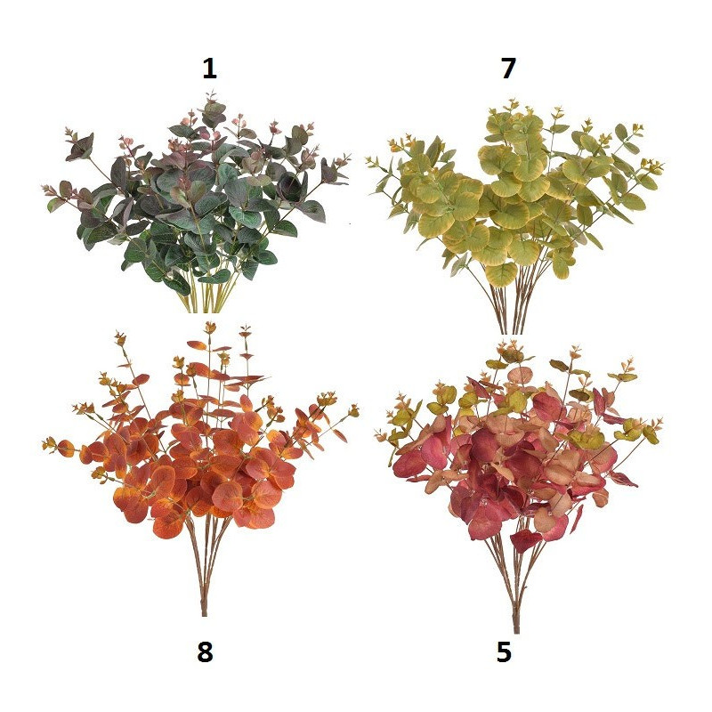 Bukiet eukaliptusa 47 cm