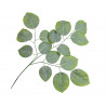 Gałązka liściasta 70 cm, 12szt/pęczek - sztuczna roślina