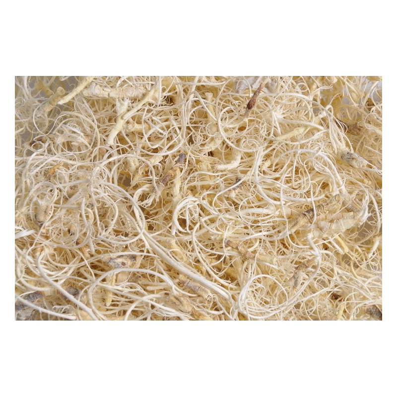 Curly Moss Bleach (50gm Poly) - wypełniacz