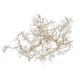Dry tree-tiny skeleton-dry bush wybielany LUZ KG,  30 cm - susz dekoracyjny