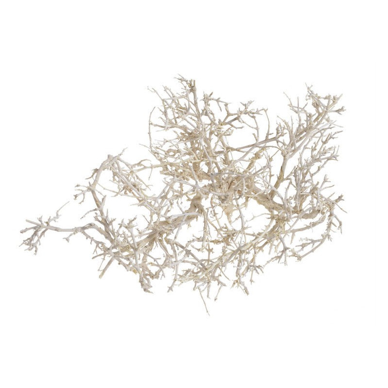 Dry tree-tiny skeleton-dry bush wybielany LUZ KG,  30 cm - susz dekoracyjny