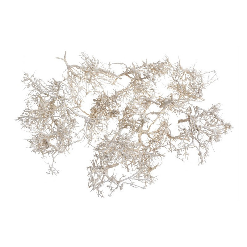 Dry tree-tiny skeleton-dry bush wybielany LUZ KG,  30 cm - susz dekoracyjny