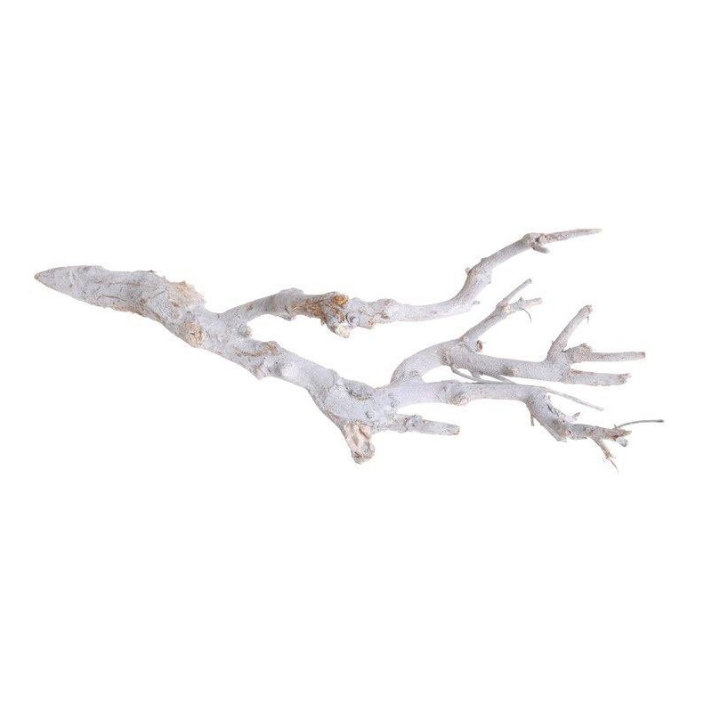 Konary Curry Bush WW 45cm - susz dekoracyjny