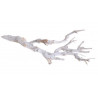 Dry tree-tiny skeleton-dry bush wybielany LUZ KG,  30 cm - susz dekoracyjny