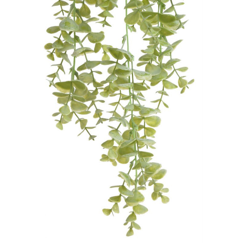Eukaliptus zwisający..80 cm - sztuczna roślina
