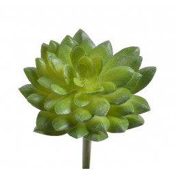 Eszeweria x1 pik 15cm - sztuczna roślina