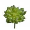 Eszeweria x1 pik 15cm - sztuczna roślina