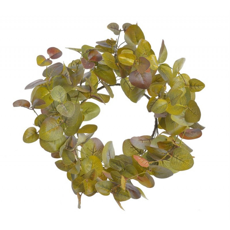 Lisciasty wianuszek 16cm