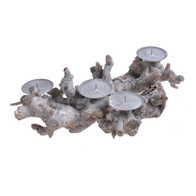 Korzen swiecznik bialo-szary x4