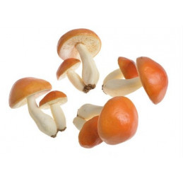 Grzybki dwa 10cm 4szt/pacz. -sztucz. rosl. OR