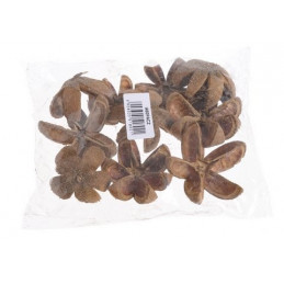 Wild Orange 6-7cm, 10szt/paczka - susz dekoracyjny