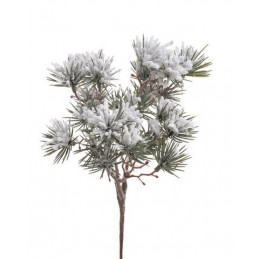 Gałązka choiny 20cm