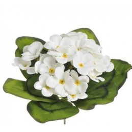 Fiołek afrykański x25...18 cm - sztuczna roślina