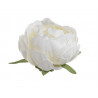 Piwonia główka 12szt/paczka..8cm - sztuczna roślina