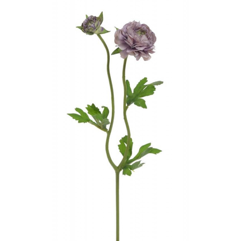 Ranunculus 1+1 39cm