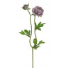 Ranunculus 1+1 39cm
