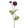 Ranunculus 1+1 39cm