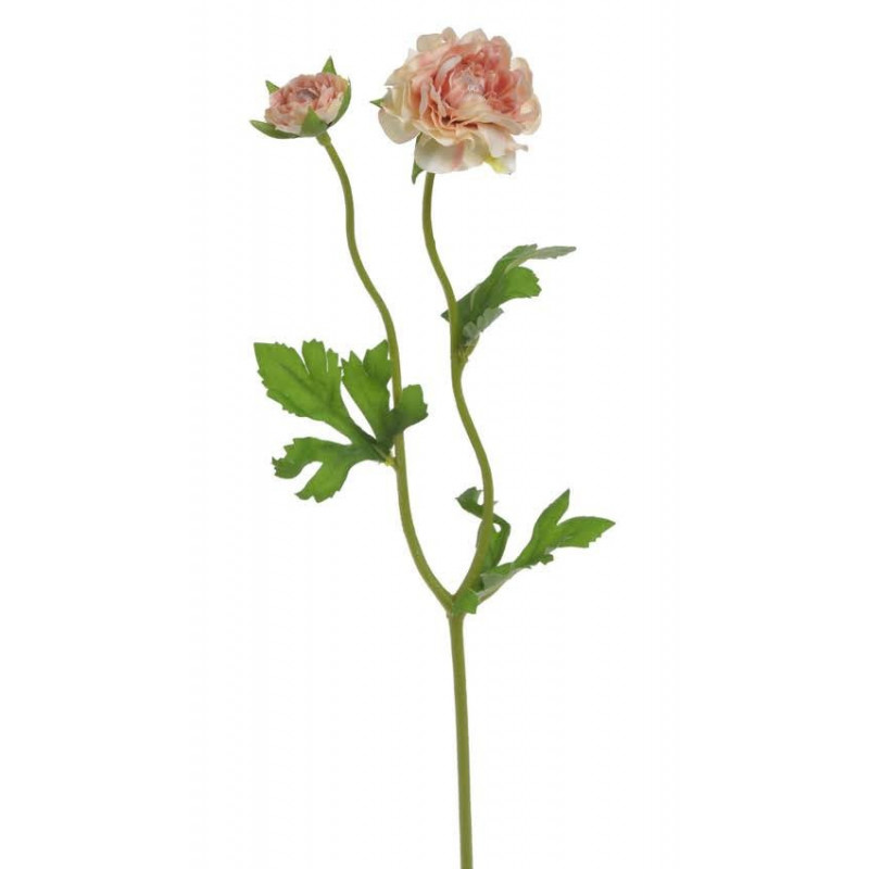 Ranunculus 1+1 39cm