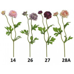 Ranunculus 1+1 39cm