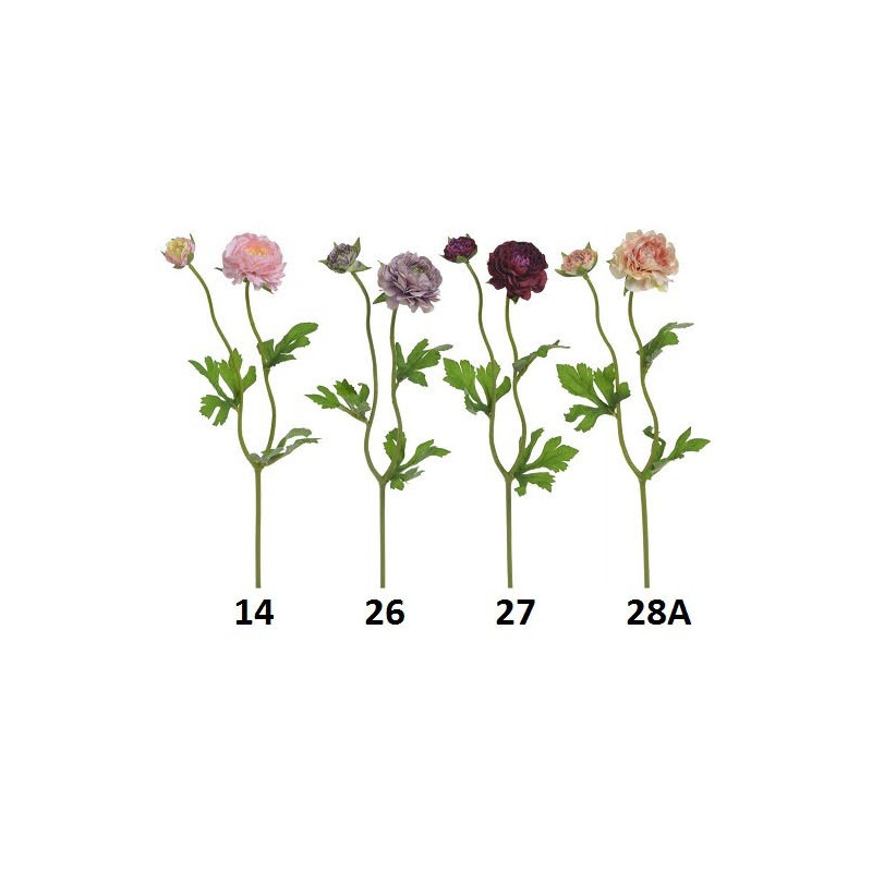 Ranunculus 1+1 39cm