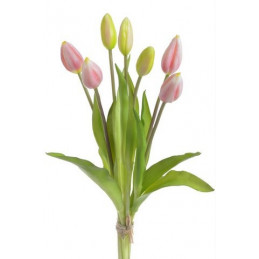 Tulipan 40cm x7 -sztucz.rosl