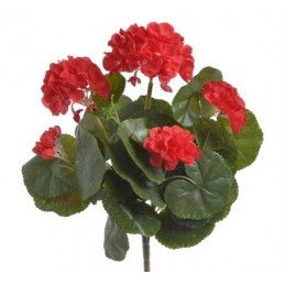 Pelargonia 35 cm -sztuczna roślina