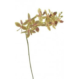 Gałązka storczyk 60cm - sztuczna roślina