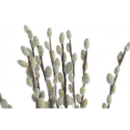 Bazie 72cm 10szt/pecz. -sztucz.rosl.