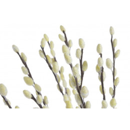 Bazie 72cm 10szt/pecz. -sztucz.rosl.