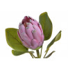 Protea x1...68 cm - sztucz.rosl.