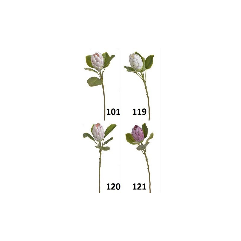 Protea x1...68 cm - sztucz.rosl.