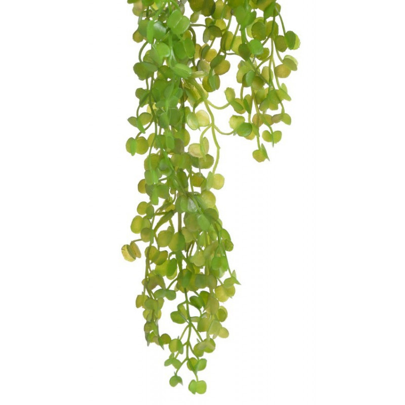 Opięta zwisająca 72cm -sztuczna roślina