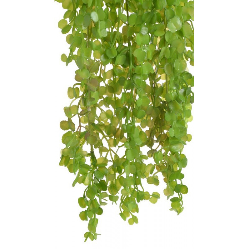 Opięta zwisająca 84cm -sztuczna roślina