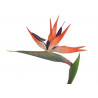 Strelicja 86cm - sztuczna roślina