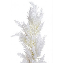 Sztuczna roślina x1 100cm PAMPAS