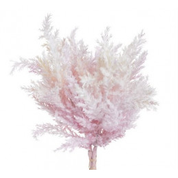 Sztuczna roślina 4szt/pęczek, 30 cm PAMPAS