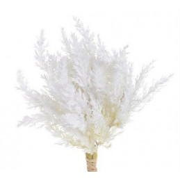 Sztuczna roślina 4szt/pęczek, 30 cm PAMPAS