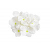 Główka hortensji mydlana 25szt/kpl 10 cm - hortensja rozpuszczalna w wodzie.