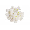 Główka hortensji mydlana 25szt/kpl 10 cm - hortensja rozpuszczalna w wodzie.