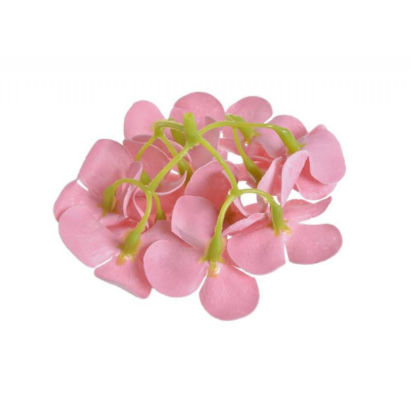 Główka hortensji mydlana 25szt/kpl 10 cm - hortensja rozpuszczalna w wodzie.