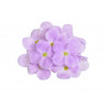 Główka hortensji mydlana 25szt/kpl 10 cm - hortensja rozpuszczalna w wodzie.