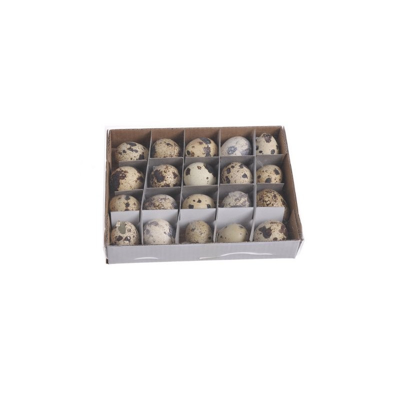 Wydmuszka jajka przepiórki 20 sztuki