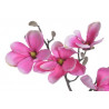 Magnolia..74cm - sztuczna roślina