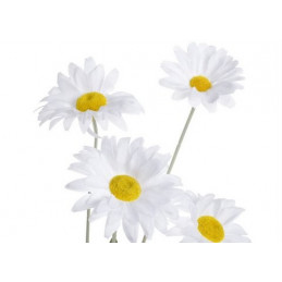 Margaretka x4 56cm - sztuczna roślina