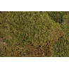 Flat moss 500g..48x28x10cm - mech leśny