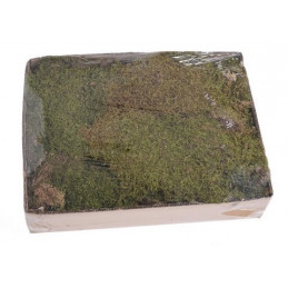 Flat moss 500g..48x28x10cm - mech leśny