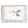 Organizer Shabby chic ~Butterflies~